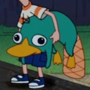 Meet your Posher, Matilda